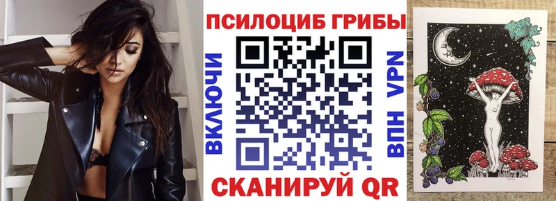 Купить  Собинка  Галлюциногенные грибы прущие грибы 